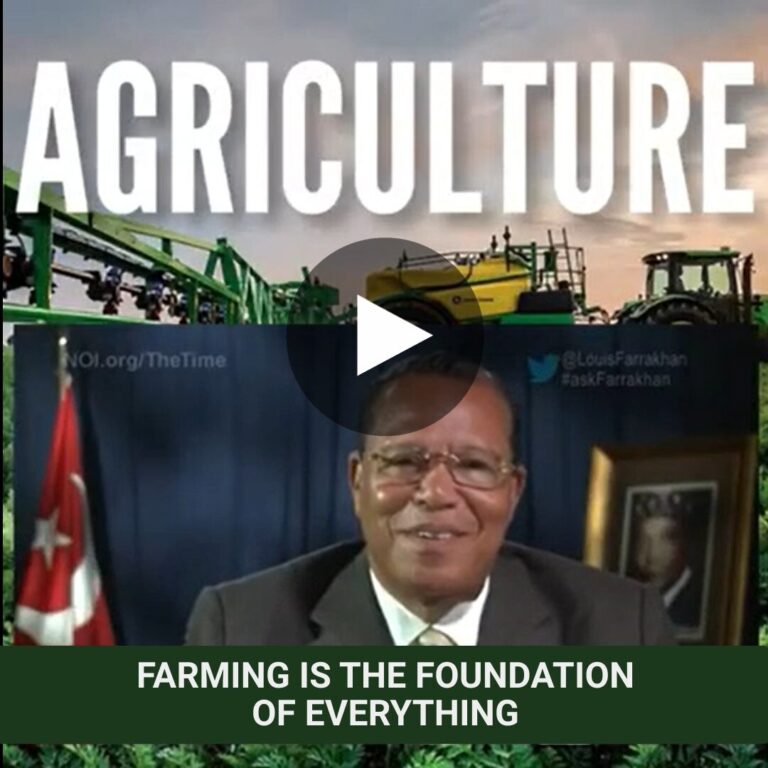 Farming is the Foundation of Everything as Everyone Needs to Eat