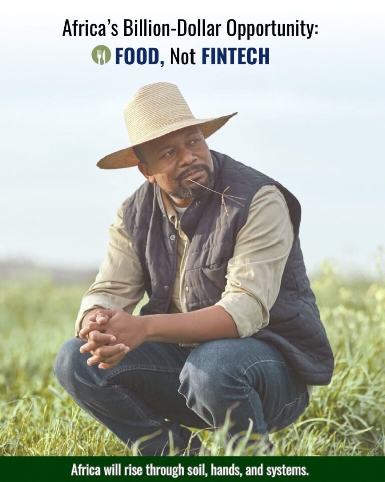 Africa’s Billion-Dollar Opportunity: Food, not Fintech