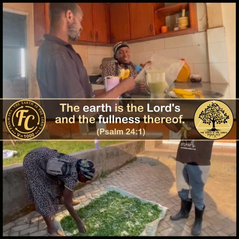 Oma’s Kitchen – Preparing Moringa Powder